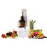 Siméo Extracteur de Jus Pj555