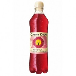 Carpe Diem Kombucha...