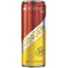 Red Bull Organics Ginger Ale 25cl (pack de 24)