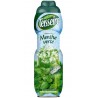 Teisseire Sirop Menthe Verte 75cl