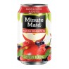 Minute Maid Fruits Rouges 33cl (pack de 24)