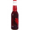 Bière Du Sorcier BIERE DU SORCIER BOKONO RED 33CL