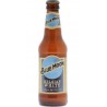 Blue Moon 33CL
