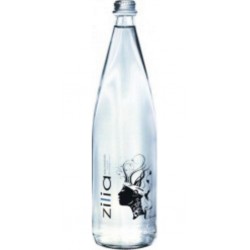 ZILIA PLATE 1L