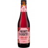 Mort Subite Bière rouge aromatisée cerise 4% 33cl