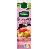 Cidou Jus fruits du verger désucré 1L
