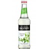Monin Sirop de mojito 33 cl