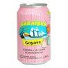 Caraïbos Goyave 33cl (pack de 24)