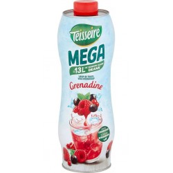Teisseire Mega Sirop de...