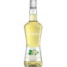 Monin Fleur de Sureau liqueur Elderflower 70cl