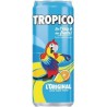 TROPICO l'Original 33cl (pack de 6)