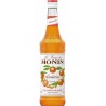 Monin Mandarine 70cl