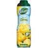 Teisseire Sirop Citron 75cl (lot de 5)