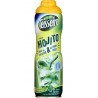 Teisseire Sirop Mojito 60cl (lot de 2)
