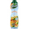 Teisseire Sirop Multifruits 75cl (lot de 2)