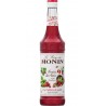Monin Fraises des Bois 70cl (lot de 2)