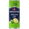 San Pellegrino Limone & Menta 33cl (pack de 6)