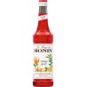 Monin Orange Spritz 70cl (lot de 4)