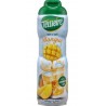 Teisseire SIROP MANG