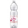 CELTIC Eau minérale gazeuse 6 x 1,5 L (pack de 6)