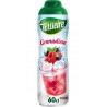 Teisseire Sirop de Grenadine 60cl (lot de 3 bouteilles)