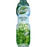 Teisseire Sirop Menthe Verte 75cl (lot de 2 bouteilles)