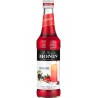 Sirop Monin Grenadine 33cl