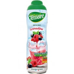TEISSEIRE Sirop de...