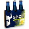 Bière Skoll Caïpiroska Vodka Et Citron Vert 33cl (pack de 3)