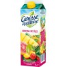 Jus de fruit Caresse Antillaise Cocktail 1L