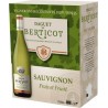 DAGUET DE BERTICOT Vin blanc Sauvignon 3L