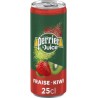Perrier & JUICE FRAISE KIWI 25cl