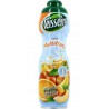 Teisseire Sirop Multifruits 75 cl
