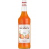 Monin Orange 1L