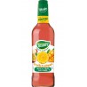 Teisseire Boisson à diluer Exotique 48cl