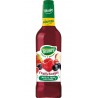 Teisseire Boisson à diluer Fruits Rouges 48cl