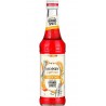MONIN ORANGE SPRITZ 33cl