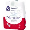 Wattwiller Eau minérale naturelle fortement pétillante 1L (pack de 6)
