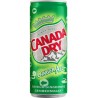 Canada Dry Ginger Ale 33cl (pack de 6)