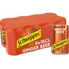 SCHWEWEPPES Boisson Gazeuse Ginger Beer Saveur Gingembre SCHWEPPES 8x15cL (pack de 8)