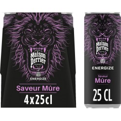 PERRIER Boisson Énergisante...