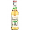 MONIN SIROP FLEUR SUREAU 33cl