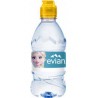 EVIAN EAU MINÉRALE NATURELLE 33cl (pack de 12)