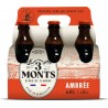 3 MONTS Bière Ambrée 7,5% 3 MONTS