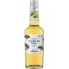GIFFARD Crème de Fleur de Sureau 16% GIFFARD