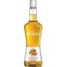 MONIN Liqueur D'amaretto 28% MONIN