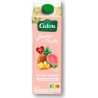 CIDOU Nectar Goyave Ananas Sans Sucres Ajoutés CIDOU