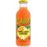 CALYPSO Soda Tropical MangoL